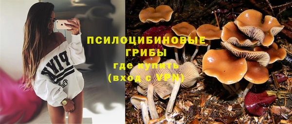 эйфоретик Хадыженск