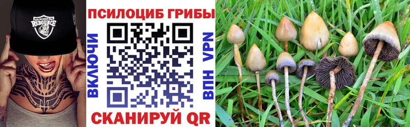 Галлюциногенные грибы Cubensis  хочу наркоту  Орехово-Зуево 